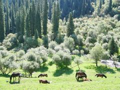 -天山神秘大峡谷