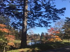 -轻井泽王子购物广场