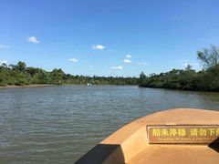 -东寨港红树林旅游区