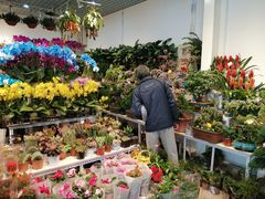 -三旗百汇商品城