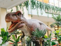 -宁波杉井奥特莱斯广场