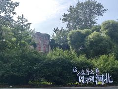 -秦皇岛野生动物园