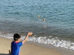 -玫瑰海岸文化旅游度假区
