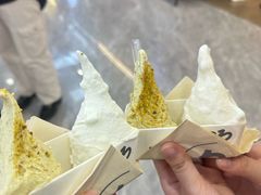 -野人先生现做冰淇淋(西安赛格店)