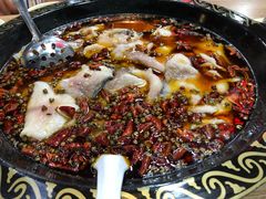 -金三可市井水煮鱼(金碧园店)