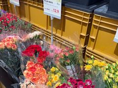 -鹿岛生活(熙地港店)