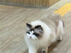 -中广艺影传媒艺术(福田校区)