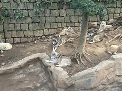 -杭州长乔极地海洋公园