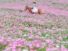 -武汉木兰草原风景区