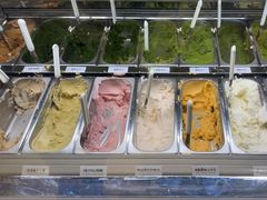 -鹤茶野所(上海首店)