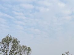 -黄陂区野村谷景区
