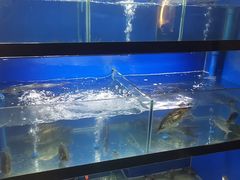 -李东农庄(中南百草园地标店)