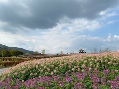 -径山花海