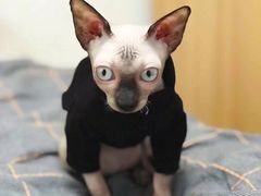 -老明馨潮汕大排档