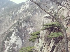 -罗田天堂寨风景区