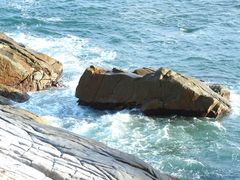 -广东惠东海龟国家级自然保护区