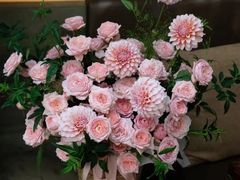 -F.Story 花和故事(新天地店)