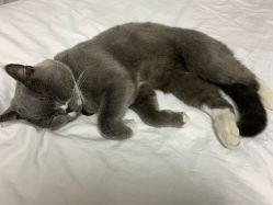 -Pink You美甲美睫纹绣定制中心