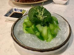 -裕.鹅庄
