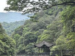 -龙湾潭国家森林公园