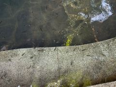 -泉眼温泉