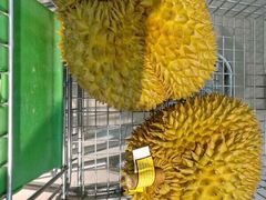 -鲜力达果品批发直销(青山店)