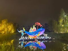 -洋湖国家湿地公园