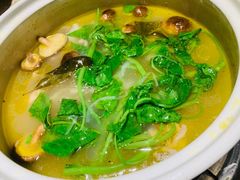 泉水鲜鸡汤-先机泉水鸡汤(南山老君洞店)