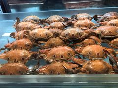-康帝国际酒店-艾斯本自助西餐厅