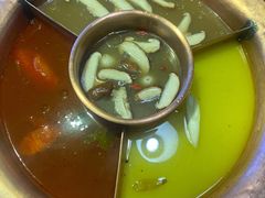 丽江菌汤锅-老诚一锅羊蝎子(黄寺大街店)