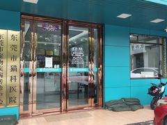 -东莞宠友24H宠物中心医院·转诊夜诊·异宠(新河北路院)