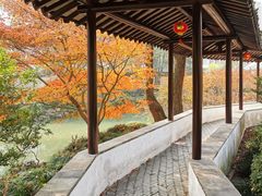 -上海醉白池公园