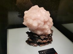 -武汉园博园(武汉自然博物馆)