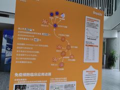 -博雅干细胞