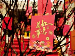 -上海虹桥西郊庄园丽笙大酒店