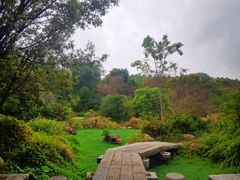 -深圳国际园林花卉博览园