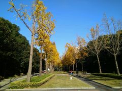 -苏州河梦清园环保主题公园