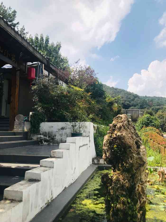 山外楼-"环境优美空气好,开车进去,沿路都是风景,."-大众点评移动版