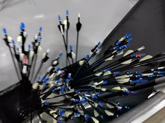 -蓝天射箭馆·专业射箭运动(诚丰广场店)