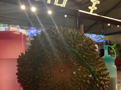-都念榴莲·城市榴莲