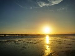 -宝安西湾红树林湿地公园