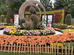 -上海共青森林公园