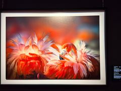 -罗红摄影艺术馆