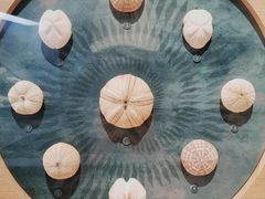 -中国湿地博物馆