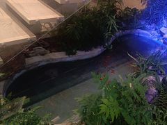 -绿雪芽白茶(浙大华家池校区凯旋路店)