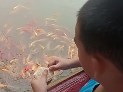 -武汉紫薇都市田园