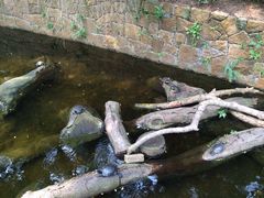 九龙公园-九龙公园