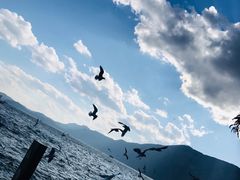 -滇池海埂公园