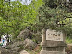 -白水寺森林公园