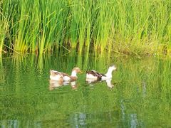 -永定河休闲森林公园